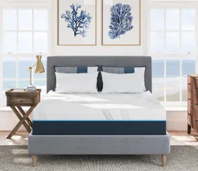 Nautica Reflect 12'' Medium Firm Memory Foam Mattress