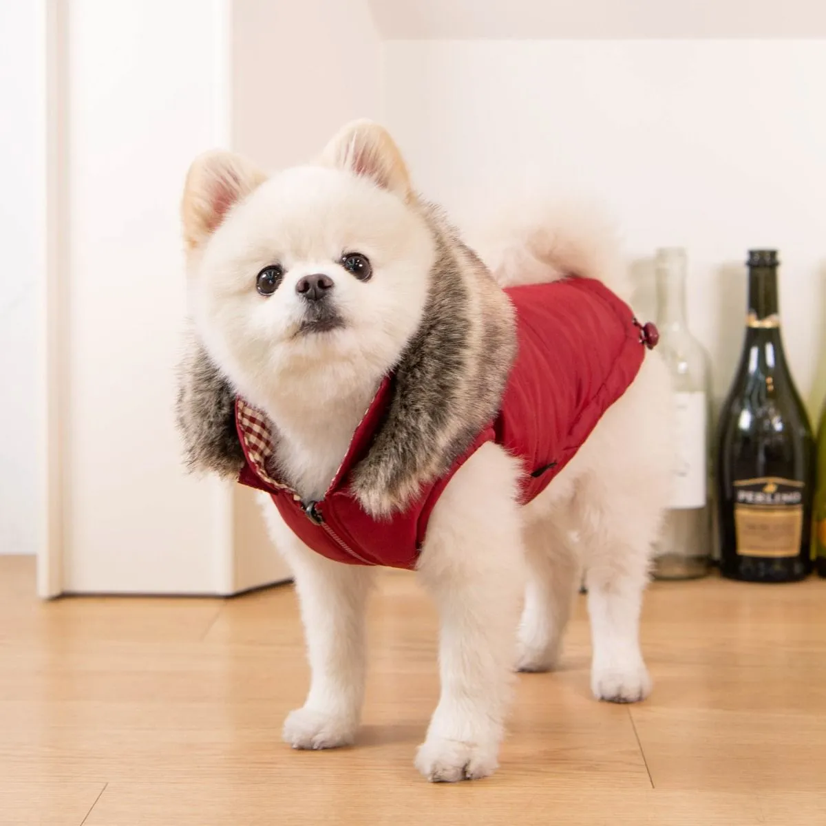 Puppia - Hollis Parker - Reversible Dog Coat - Red